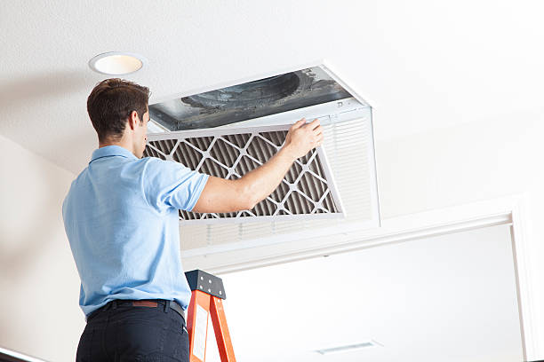 Best Air Filters and Purifiers in Reidland, KY